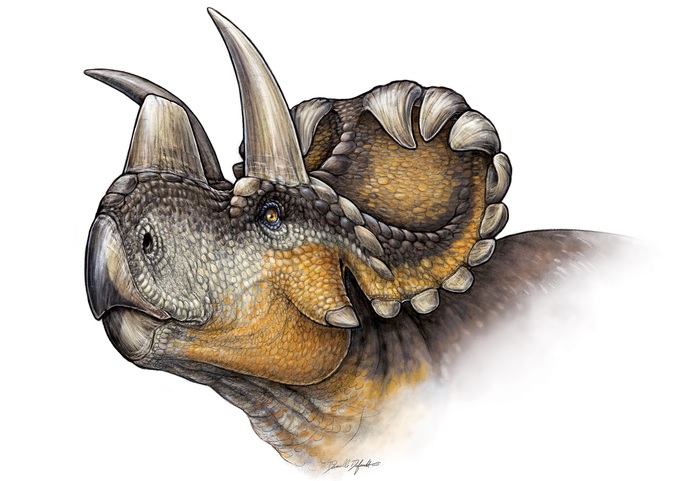 six horned dinosaur