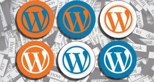 9 reasons – Why should you go for WordPress premium themes