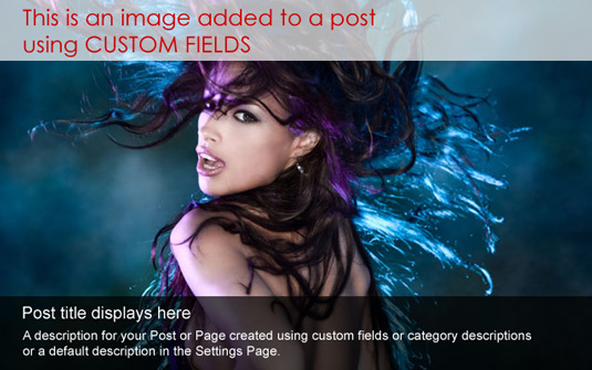 Dynamic Content Gallery wordpress plugin