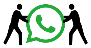 Whatsapp New Feature Allows you to Pin Important Chats to the Top