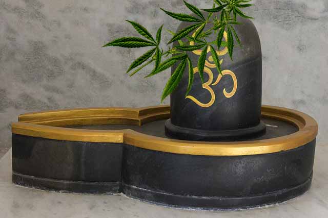 4 favorites’ of lord Shiva offered in Shravna month