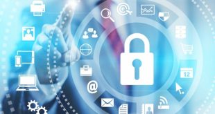 Protect Your Tech: 4 IT Basics For A Secure Network