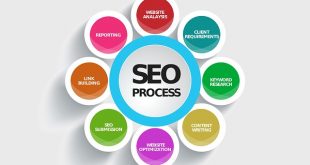 What Is The Importance Of Using Infographic In SEO Online Business?