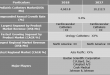 Pediatric Catheters Market