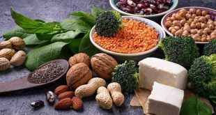 Plant Protein