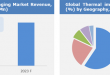 Thermal Imaging Market