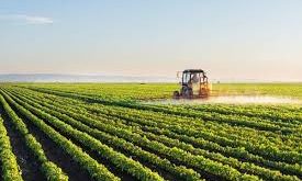 Insecticides Market