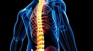 Spinal Implants And Surgical Devices Market