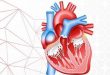 Structural Heart Devices Market