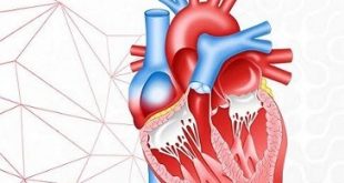 Structural Heart Devices Market