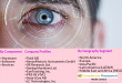 Eye Tracking Market