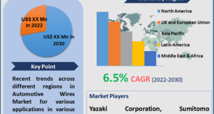 Automotive Wires Market