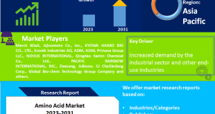 Amino Acid Market