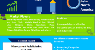 Microcurrent Facial Market