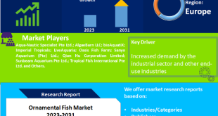Ornamental Fish Market