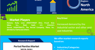 Period Panties Market