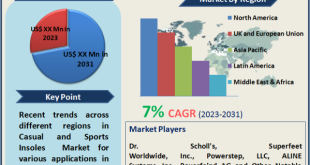 Casual and Sports Insoles Market