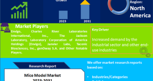 Mice Model Market