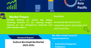 Sodium Borohydride Market