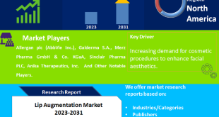 Lip Augmentation Market