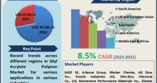 Silyl Acrylate Polymer Market