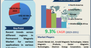 Permanent Magnets Market