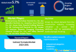 Calcium Formate Market