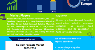 Calcium Formate Market