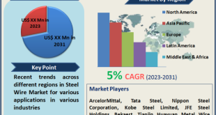 Steel Wire Market