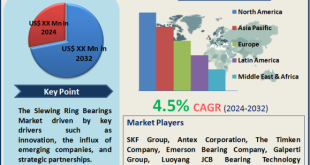 Slewing Ring Bearings Market