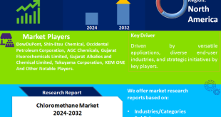 Chloromethane Market