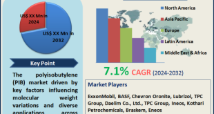 Polyisobutylene Market