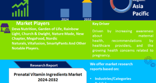 Prenatal Vitamin Ingredients Market