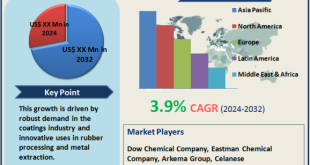 Methyl Isobutyl Ketone (MIBK) Market