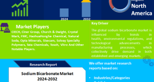 Sodium Bicarbonate Market